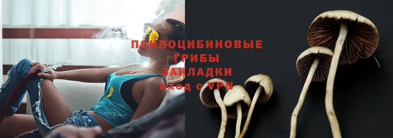 как найти   Кимовск  KRAKEN как зайти  Псилоцибиновые грибы MAGIC MUSHROOMS 